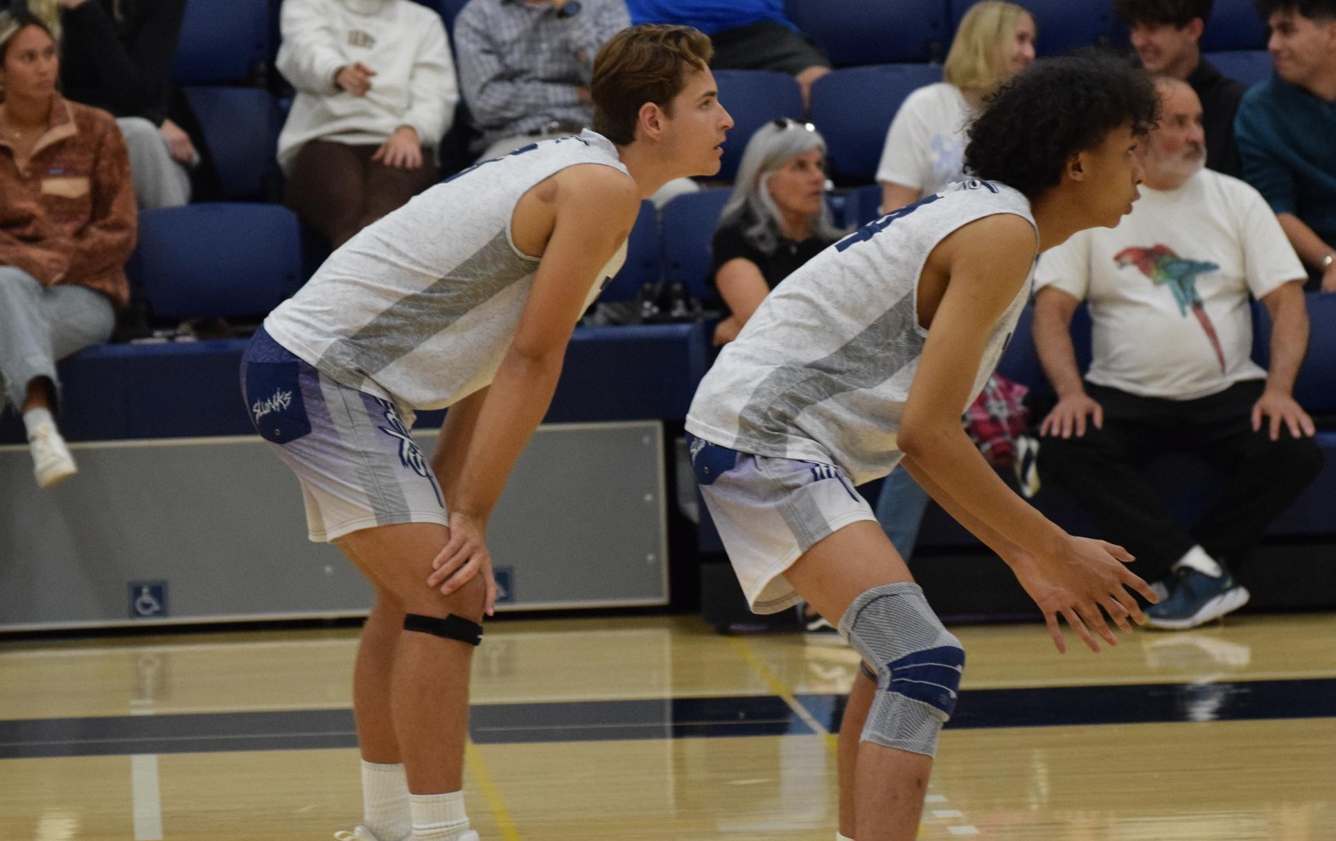 Men's volleyball team ranked No. 4 in the latest state poll