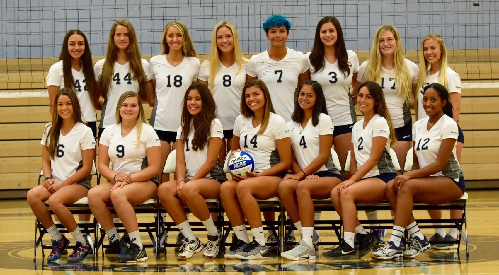 Women's volleyball team goes up against Saddleback tonight