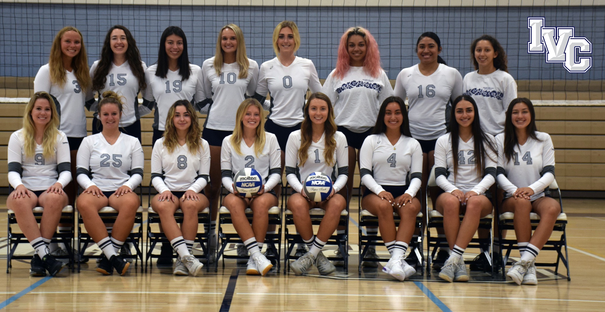 Women's volleyball is Irvine Valley's '19-20 team of the year