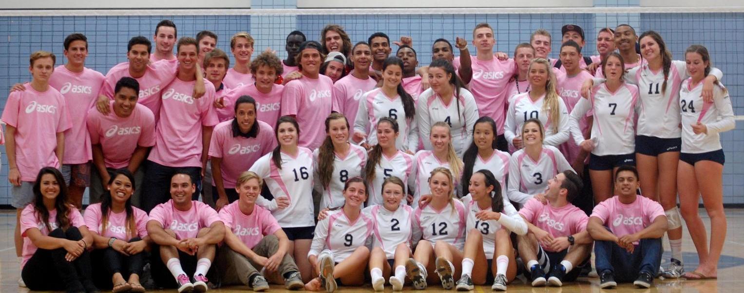 Volleyball teams hosting Dig Pink match