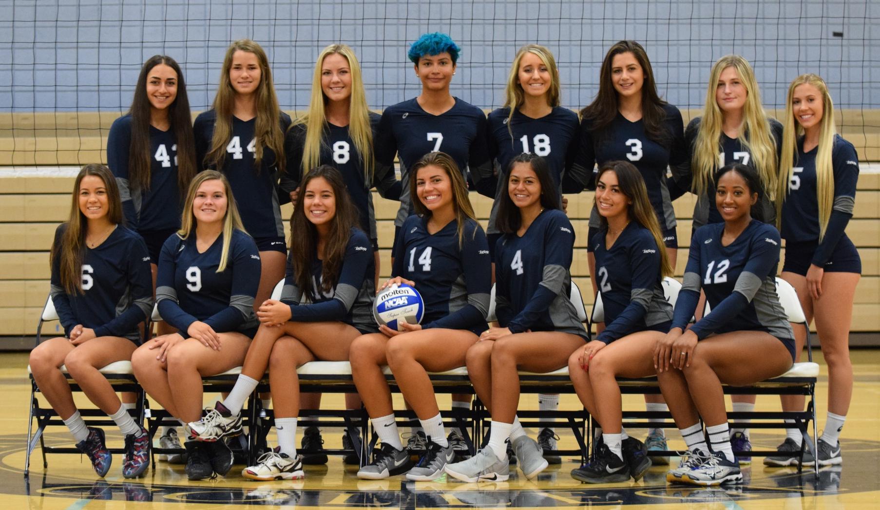 Women's volleyball team No. 2 in state in first poll of 2017